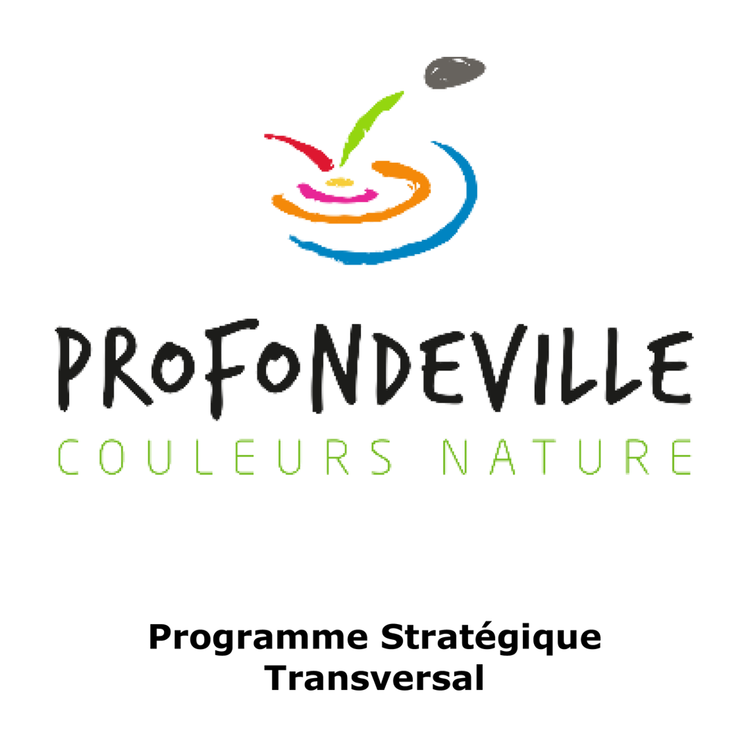 Programme Stratégique Transversal